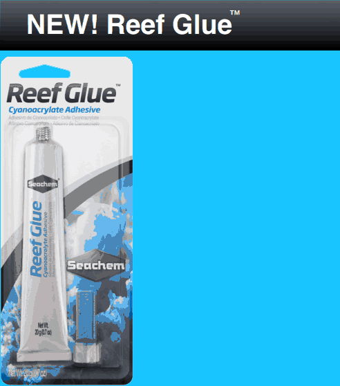 Seachem Reef Glue